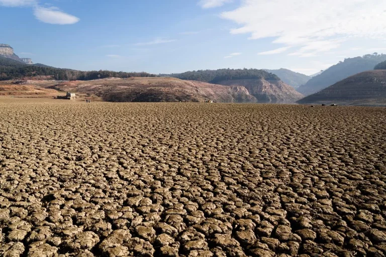 Janeiro de 2024 é o mais quente da história, revela Serviço de Mudança Climática