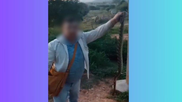 VÍDEO: Homem mata cobra a dentadas, na Paraíba