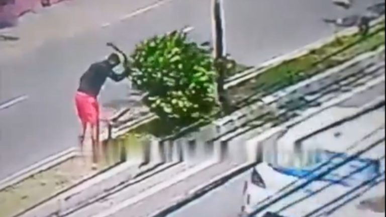 VÍDEO: Assaltante ousado rouba árvore de canteiro central, em Manaus