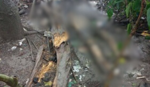 Cadáver de homem é encontrado em estado de decomposição próximo a condomínio, em Manaus