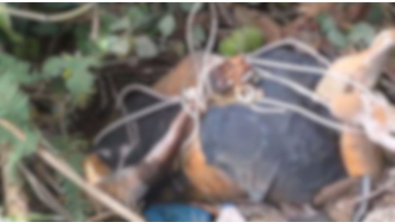 VÍDEO: Corpo é encontrado jogado em área de mata de Manus com mãos e pés amarrados