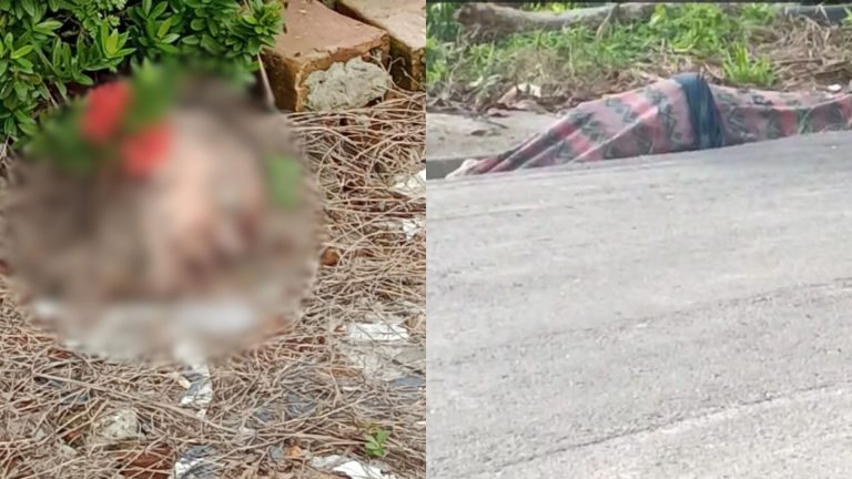 VÍDEO: Corpo é encontrado decapitado junto a calçada em uma área de mata, em Manaus