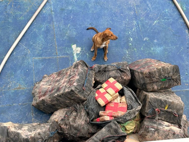 VÍDEO: Dupla é presa com 1 tonelada de drogas avaliada em R$ 9,5 milhões, no AM