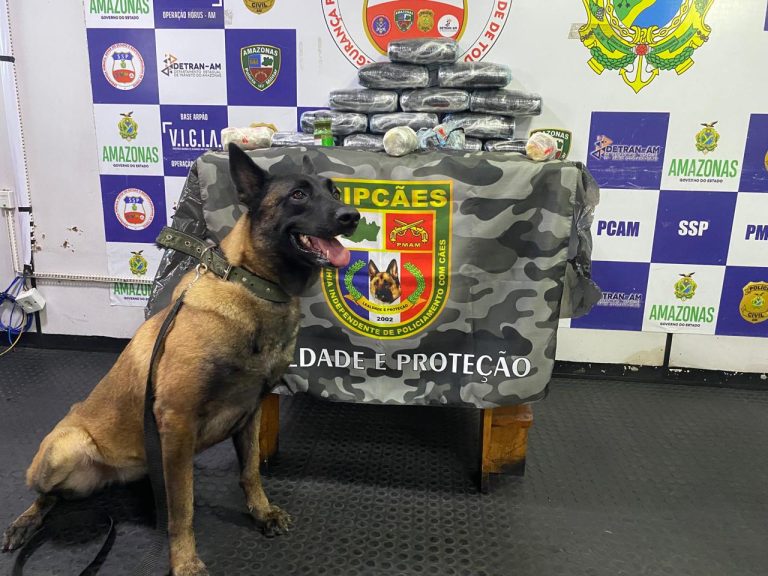 Com apoio de cadela, polícia prende mulher no AM com pasta base de cocaína avaliada em R$ 750 mil