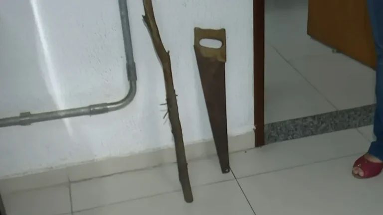Homem agride esposa com serrote após ser pego com outra mulher, no interior do AM