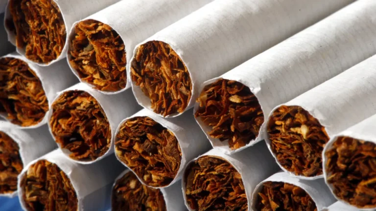 Autoridades belgas apreendem 12 milhões de cigarros em fábrica ilegal   