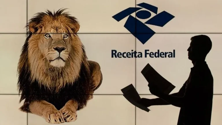 Imposto de Renda 2024: Receita divulga regras, saiba quem precisa declarar - Governo, projeto, Imposto de renda