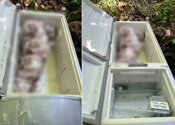 Mulher encontrada morta em geladeira foi assassinada por genro e filha em Maceió