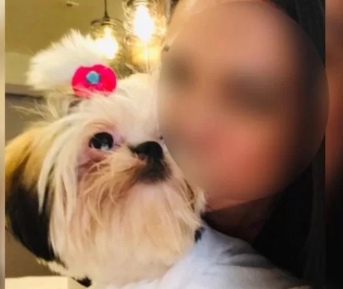 Justiça mantém medida protetiva contra servidor acusado de roubar pets