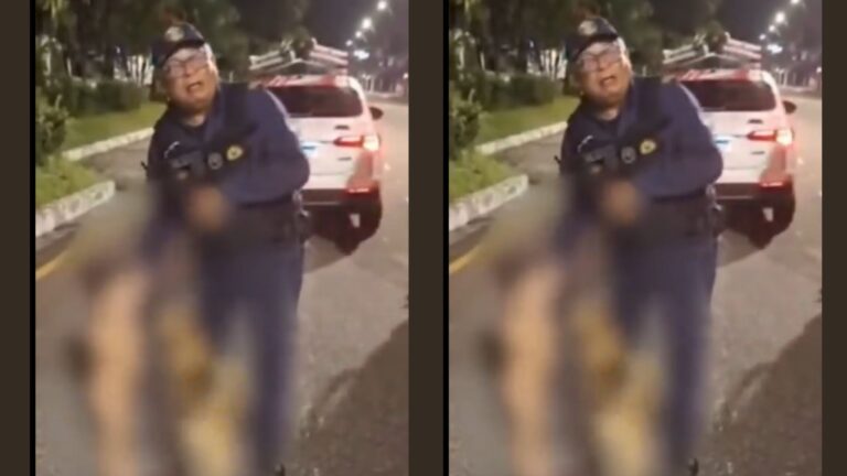 VÍDEO: Bebê de 1 ano foge e é encontrado na rua ‘protegido’ por cachorro caramelo, em Belém