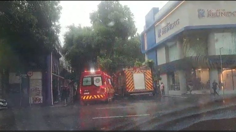 VÍDEO: Durante chuva, galho de árvore cai em cima de motociclista no Centro de Manaus