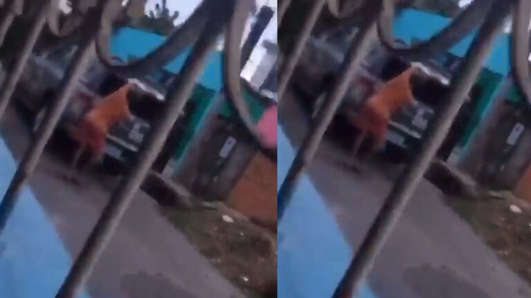 VÍDEO: Homem ‘ousado’ ajuda amigo criminoso a fugir do camburão da policia, em Manaus