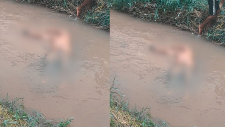 VÍDEO: Corpo de homem é encontrado ‘boiando’ em igarapé de Manaus