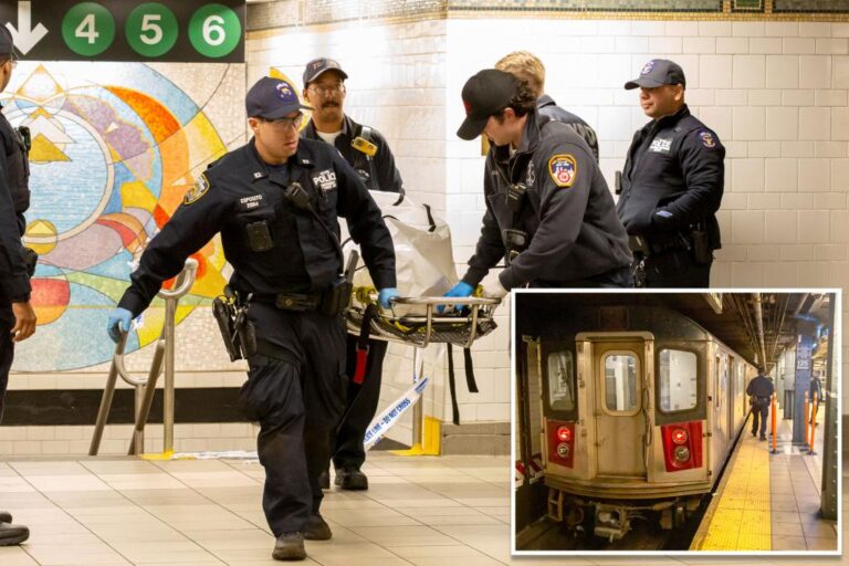 Após ser empurrado em estação, homem morre atropelado por metrô nos EUA