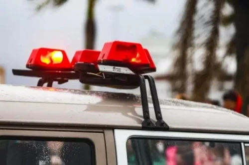 Menina sai para passear com cão, desaparece e é estuprada em Joinville