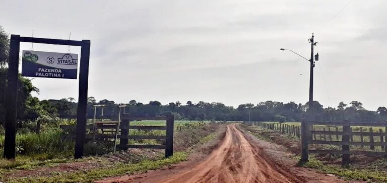 Reintegração de posse de fazenda em Lábrea (AM) é suspensa pela DPE: Entenda a polêmica