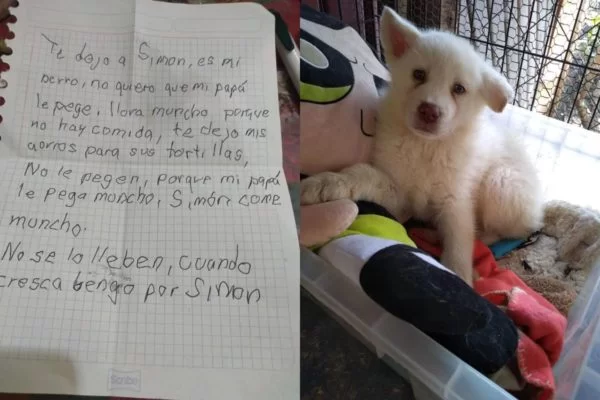 Menino deixa cachorro em abrigo para salvá-lo de maus-tratos do pai, no México