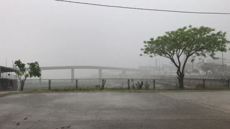 Quatro ocorrências são registradas durante chuva desta quinta-feira (28)