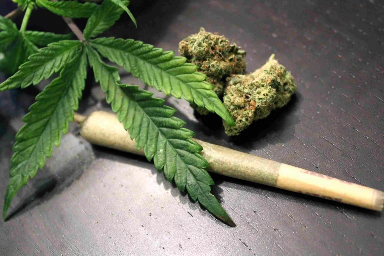 Descriminalização da maconha, porte de maconha