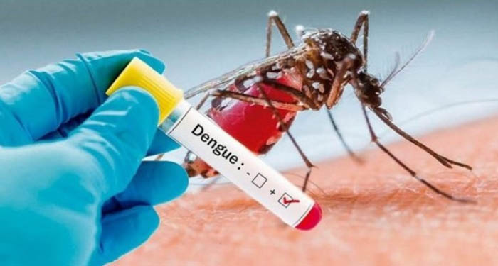 Dengue: Casos aumentam nas Américas em possível pior surto da história, aponta Opas