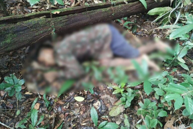 Soldado do Exército é encontrado morto em área de mata na AM-010
