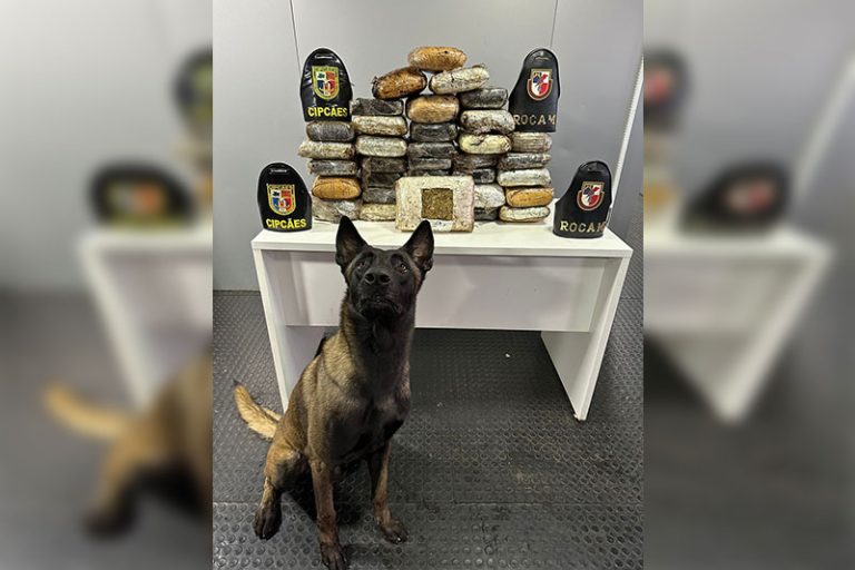 Fiscalização apreende mais de 30 kg de drogas em embarcação no Amazonas