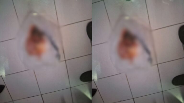 Feto do sexo feminino é encontrado morto dentro de lixeira de instituição escolar, em Manaus