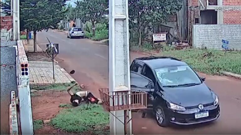 VÍDEO: Homem é atropelado, leva tiros, mas sobrevive, no Paraná