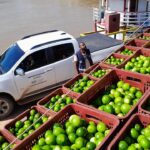 WhatsApp Image 2024-04-03 at 16.09.50