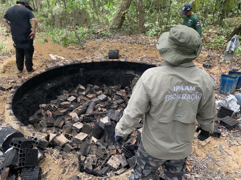 Ipaam destrói fornos para fabricação de carvão ilegal na região metropolitana de Manaus