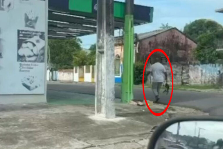 AM: homem é flagrado com gato pendurado pelo rabo