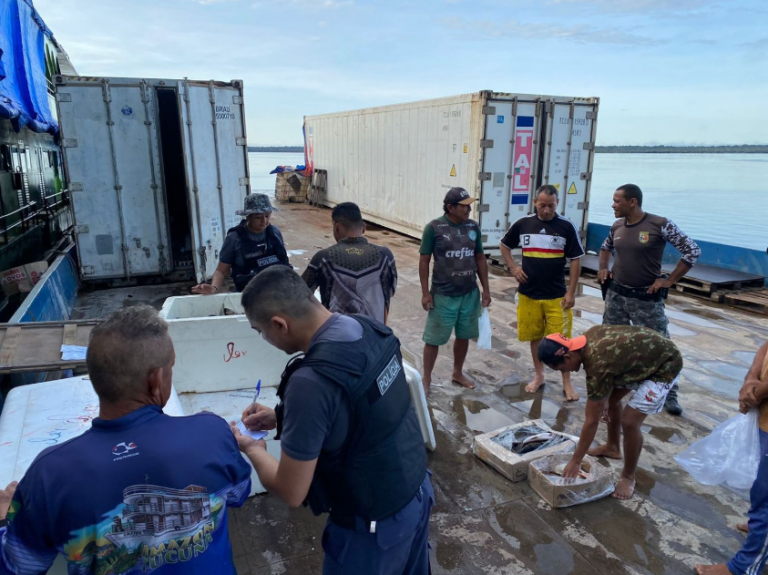 Polícia apreende 1,5 tonelada de pescado ilegal dentro de barco, em Barcelos, no AM