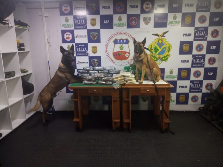 Drogas escondidas em rolos de arame farpado e sacos de farinha são apreendidas no Amazonas