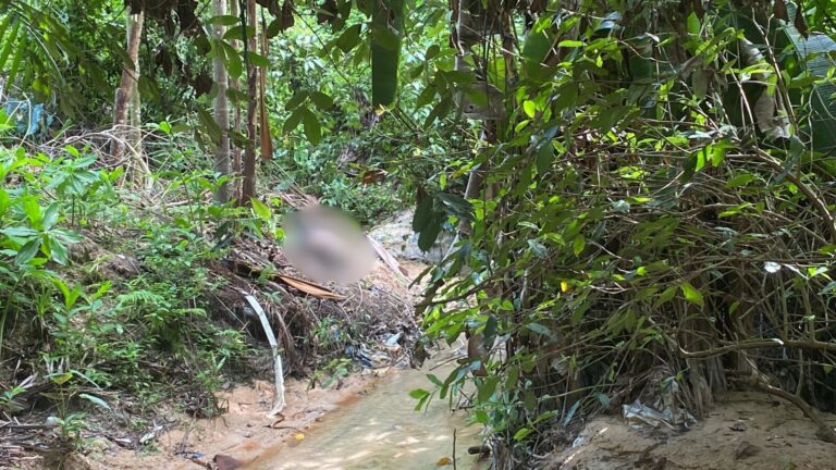 IMAGEM FORTE: Corpo em estado avançado de decomposição é encontrado em Manaus