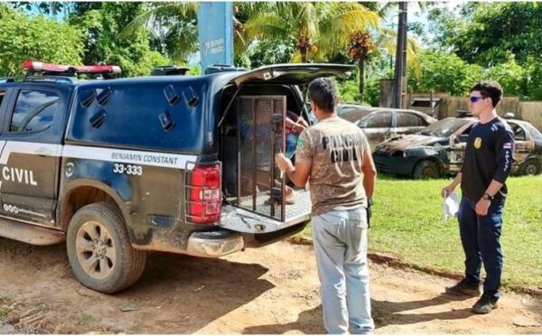 Em comunidade indígena, polícia prende homem por tentar matar idoso