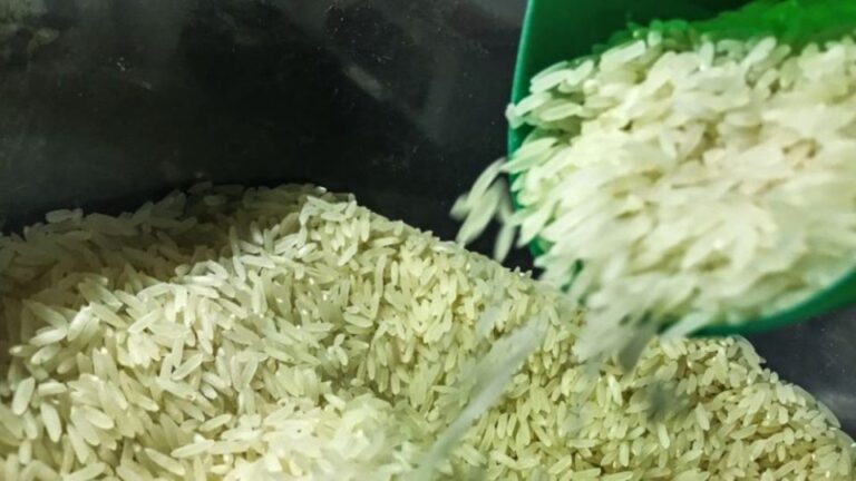 Governo suspende leilão de compra de arroz do Mercosul após aumento de preços