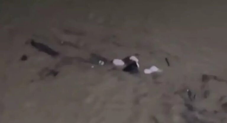 VÍDEO: Mulher é arrastada pela correnteza enquanto segura em tronco de árvore, em SC