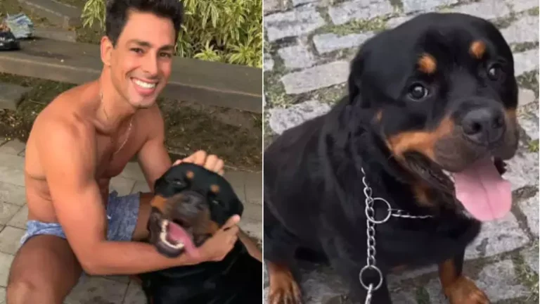 Polícia suspeita de herbicida de glifosato em envenenamento de cães no RJ