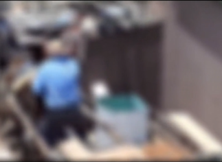 VÍDEO: Idoso é flagrado violentando égua no DF