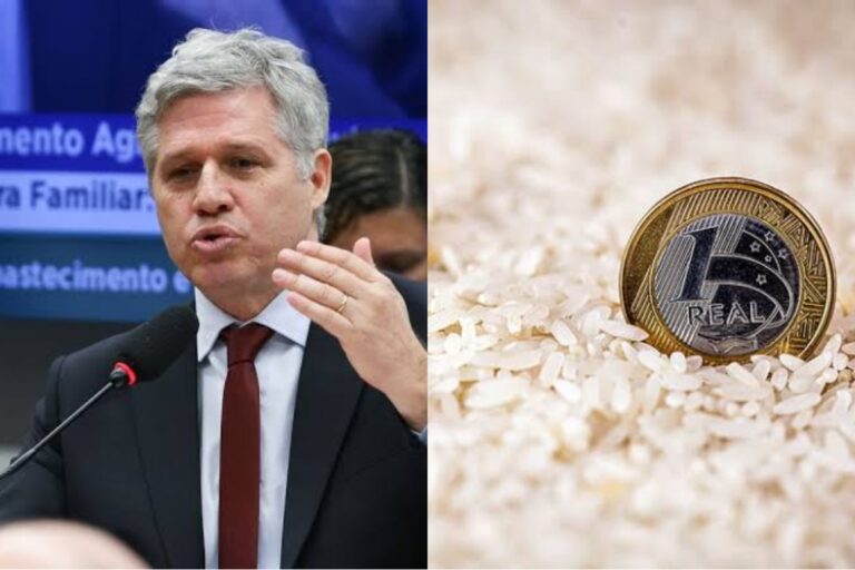 Paulo Teixeira diz que edital para novo leilão de arroz sai em 10 dias