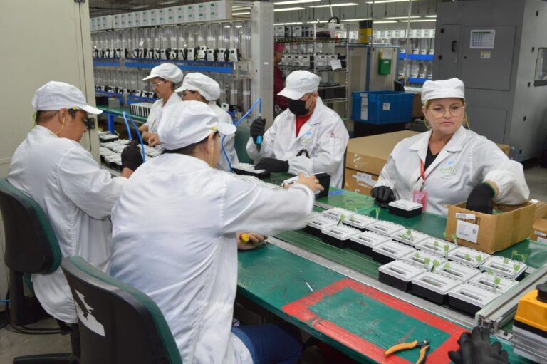 Livoltek anuncia fábrica de inversores de energia solar, que deve criar 600 empregos no PIM