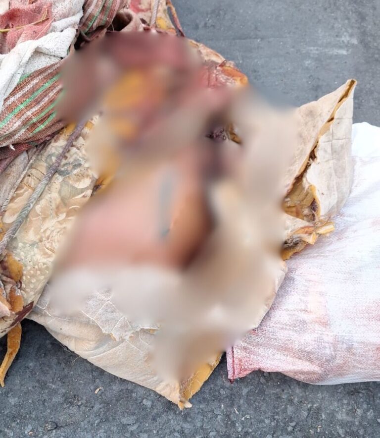 IMPACTANTE: Corpo é encontrado esquartejado dentro de sacos, em Manaus