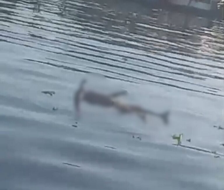 VÍDEO: Pescadores encontram corpo ‘boiando’ no Rio Negro, em Manaus