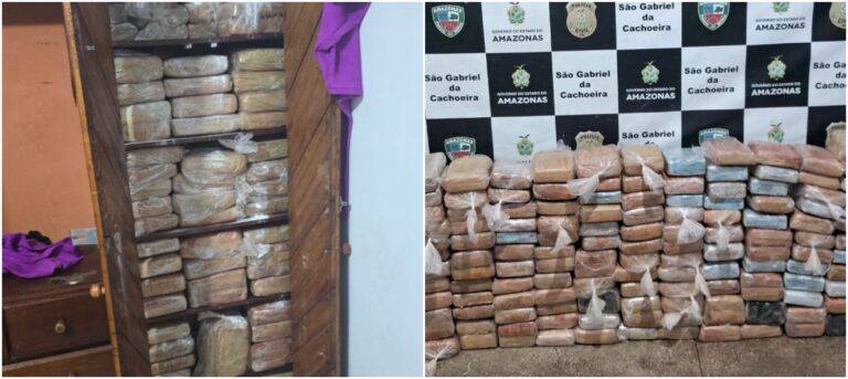 Polícia desmantela grupo criminoso e apreende R$ 7 milhões em maconha, no interior do Amazonas