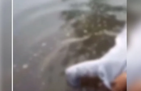 VÍDEO: Adolescentes são apreendidos após sequestrarem homem em GO.