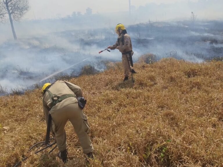 Bombeiros combatem 30 focos de incêndio em fazenda, em Apuí