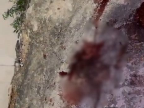 Homem é executado a tiros enquanto passeava com cachorro no bairro Compensa Homem é executado a tiros enquanto passeava com cachorro no bairro Compensa