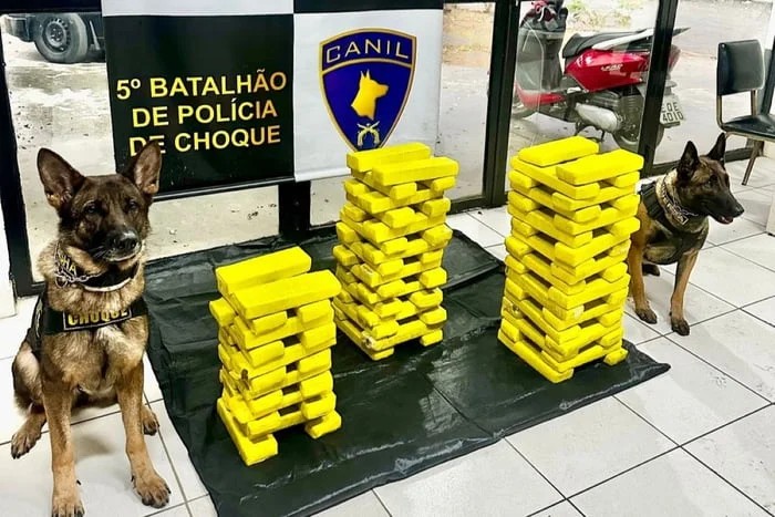 PM prende quatro pessoas por delivery de maconha gourmet em SP