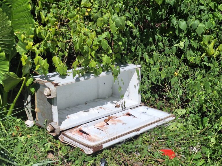 VÍDEO: Corpo com sinais de tortura é encontrado dentro de geladeira em área de mata em Manaus