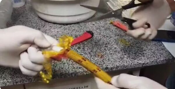 VÍDEO: Homem é preso tentando embarcar para a França com 2 kg de cocaína escondidos em cordas